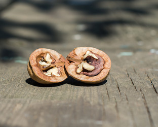 Similar image 10558131