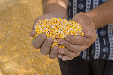 Similar image 10558136