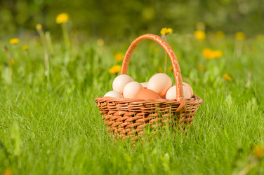 Similar image 10558189