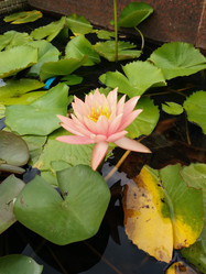 Similar image 10569101