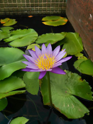 Similar image 10569104