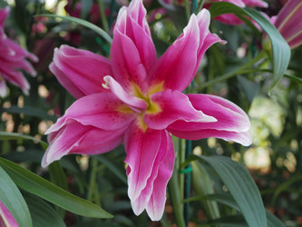 Similar image 10569105