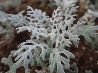 Similar image 10569106