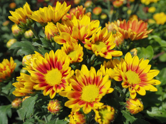 Similar image 10569107