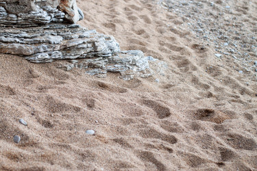 Similar image 10569613