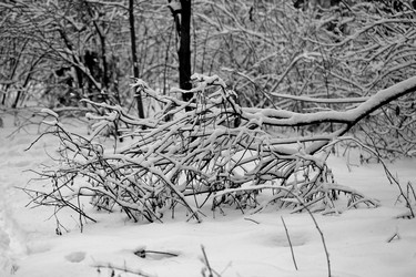 Similar image 10569641