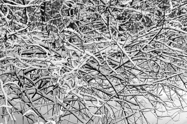 Similar image 10569644