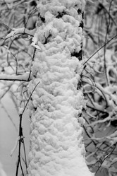 Similar image 10569645