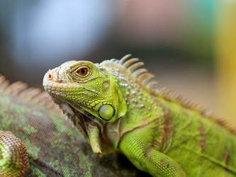 Similar image 10569739