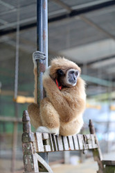 Similar image 10569747