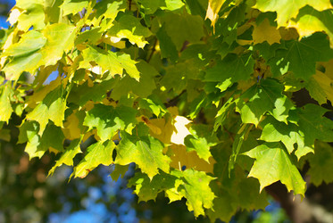 Similar image 10569775