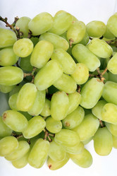 Similar image 10569777