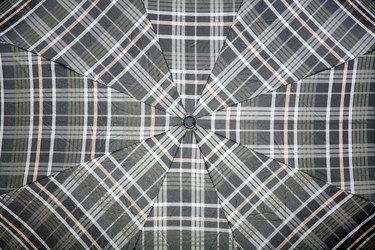 Similar image 10569778