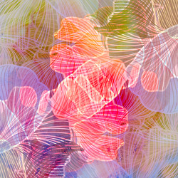 Similar image 10569961