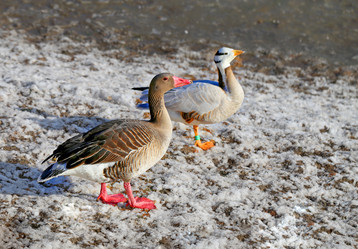 Similar image 10570166