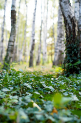 Similar image 10570255