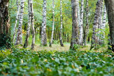 Similar image 10570256