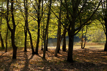 Similar image 10570261