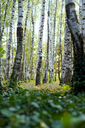 Similar image 10570263