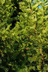 Similar image 10570264