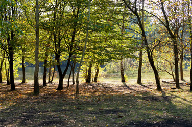 Similar image 10570279