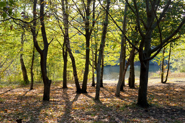 Similar image 10570280