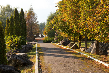 Similar image 10570281