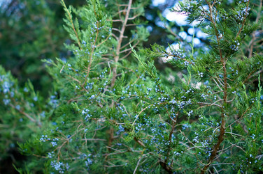 Similar image 10570282