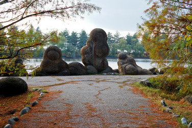 Similar image 10570285