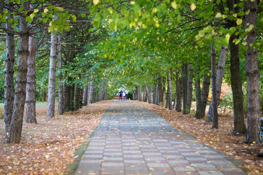 Similar image 10570287