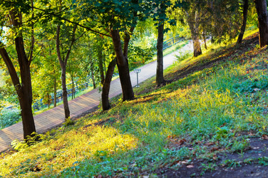 Similar image 10570289