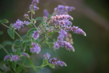 Similar image 10570358