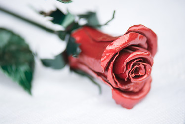 Similar image 10570398