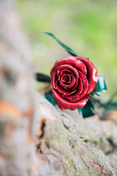 Similar image 10570403