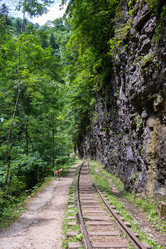 Similar image 10570431