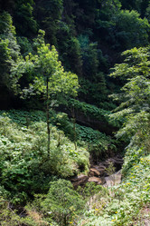 Similar image 10570434