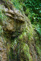 Similar image 10570439