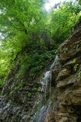 Similar image 10570441