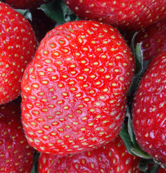 Similar image 10570511