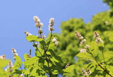 Similar image 10570514