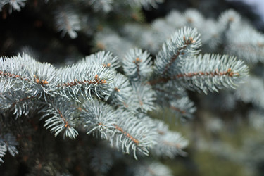 Similar image 10570520