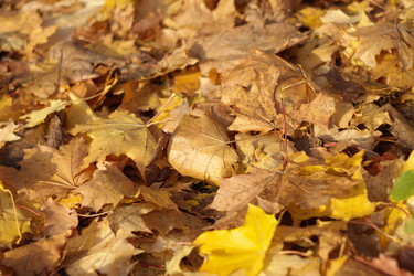 Similar image 10570534