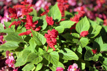 Similar image 10570538