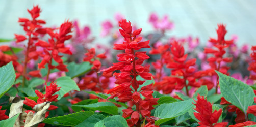 Similar image 10570540