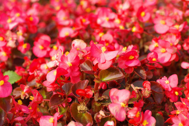 Similar image 10570556