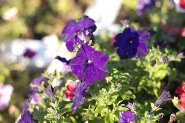 Similar image 10570557