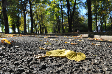 Similar image 10570620