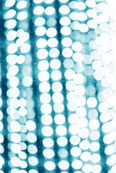 Similar image 10571003