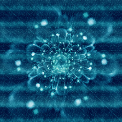 Similar image 10571390