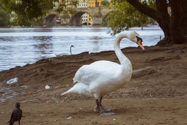 Similar image 10574255